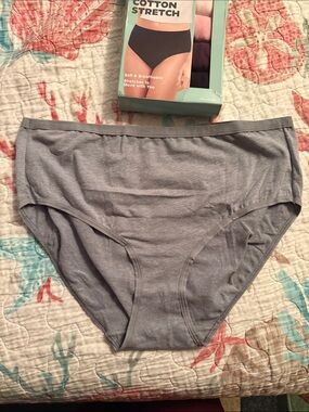 Hanes Gray Cotton Stretch Bikini Panty